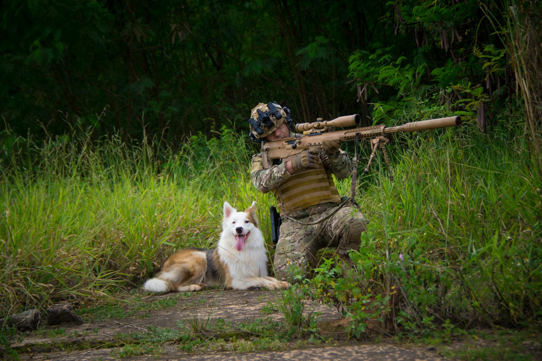 Detailansicht: Sniper Safari Bosnien