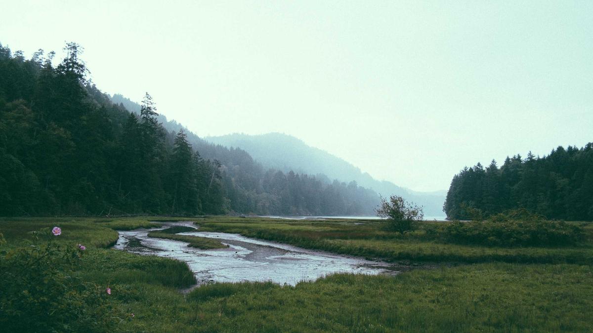 Illustration zu So 1 Nummernschild