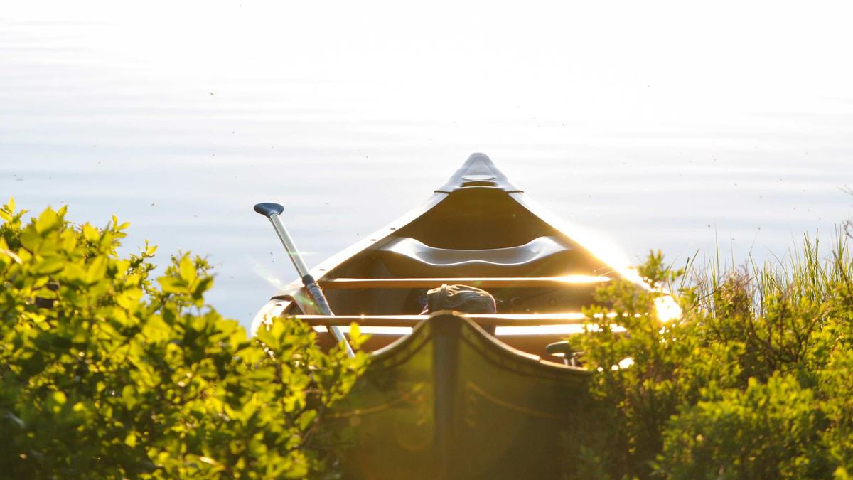 Symbolbild zum Thema Social Media Klage