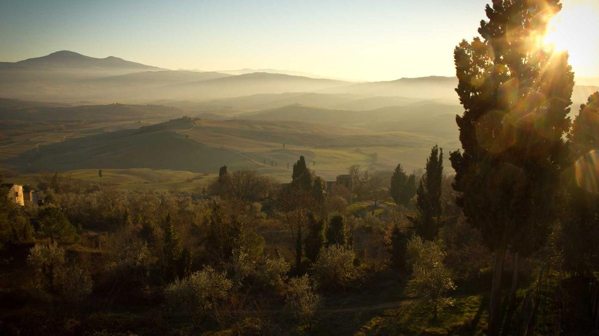 Spediteure Dieselpreise Illustration zu Spediteure Dieselpreise