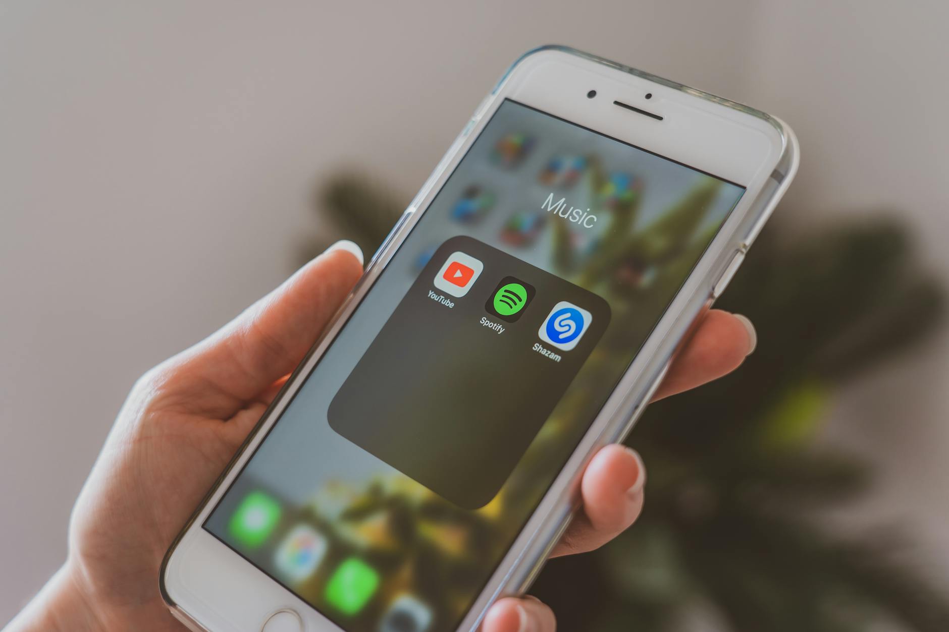 Spotify Taste Profile Detailansicht: Spotify Taste Profile