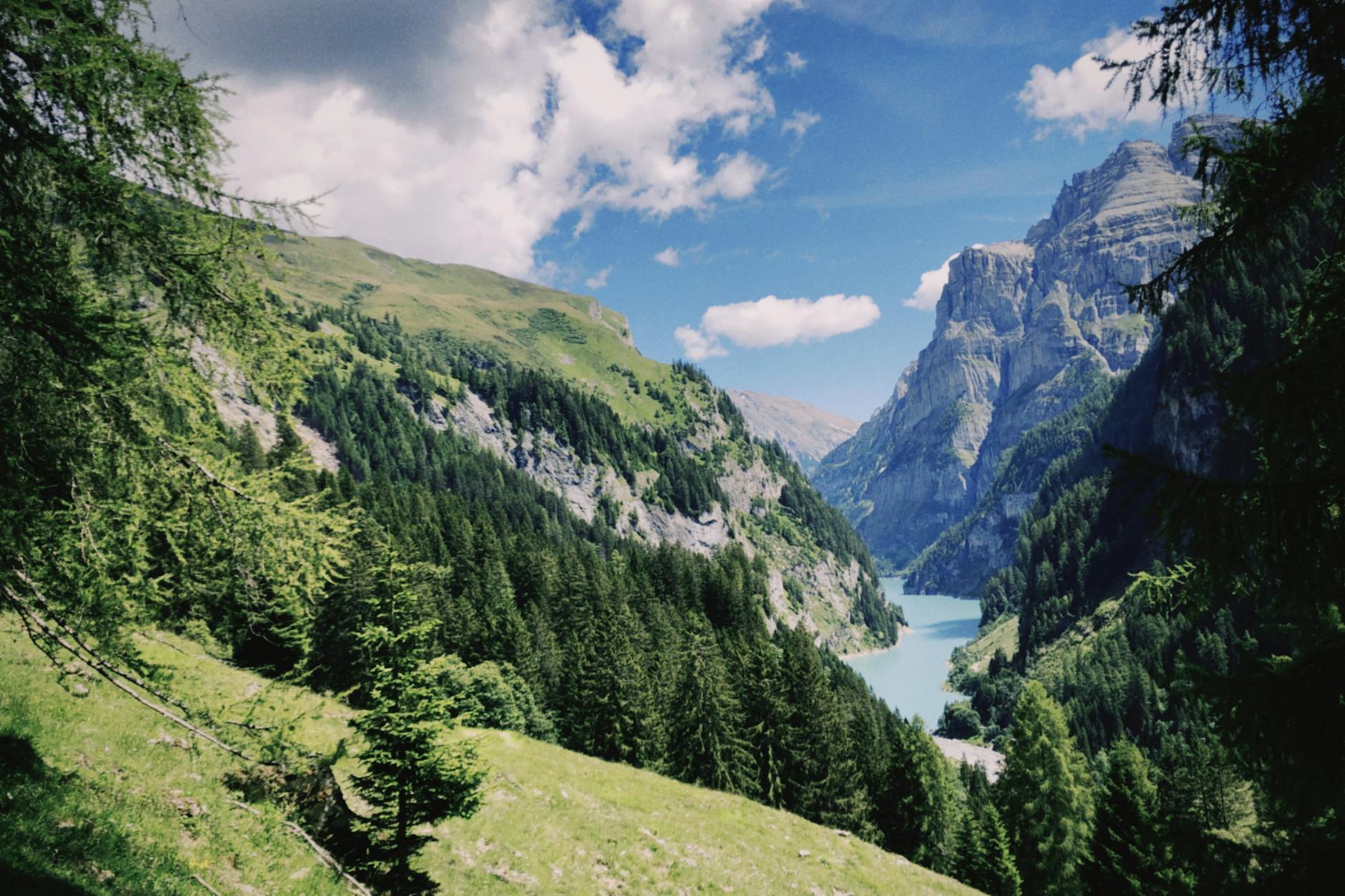 ST. Gallen – Grasshoppers Detailansicht: ST. Gallen – Grasshoppers