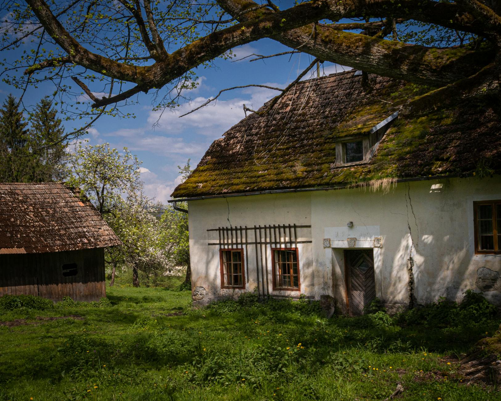 Detailansicht: ST. Pölten – Austria Klagenfurt
