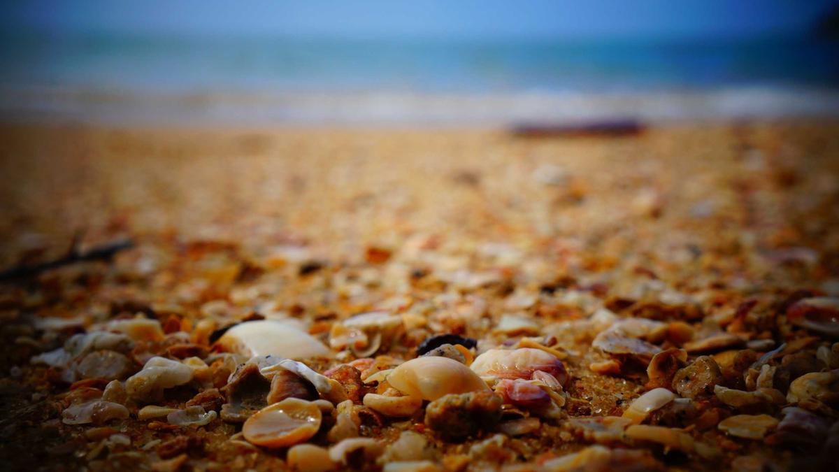 Detailansicht: Star Trek Discovery