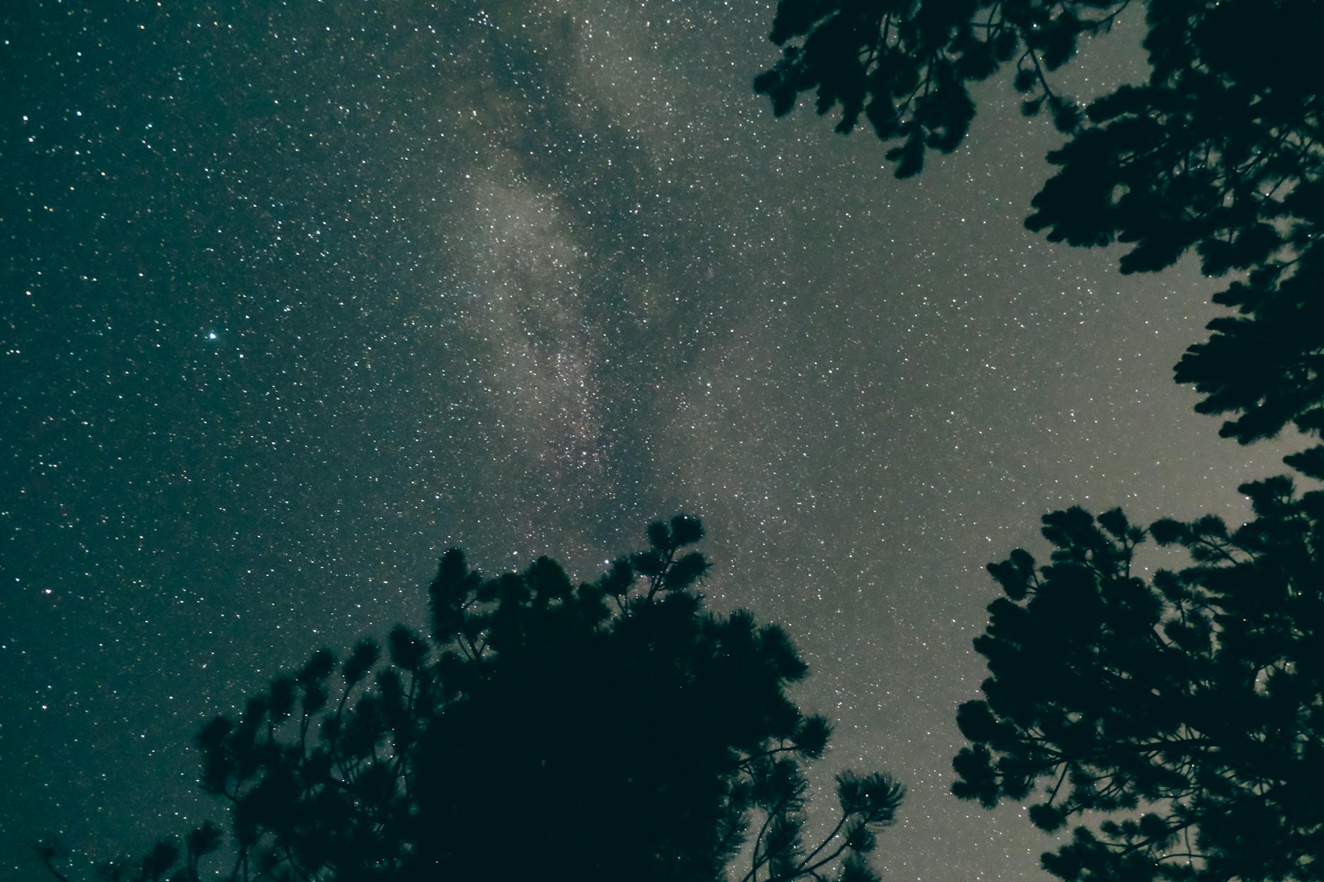 Starfield Terran Armada Illustration zu Starfield Terran Armada