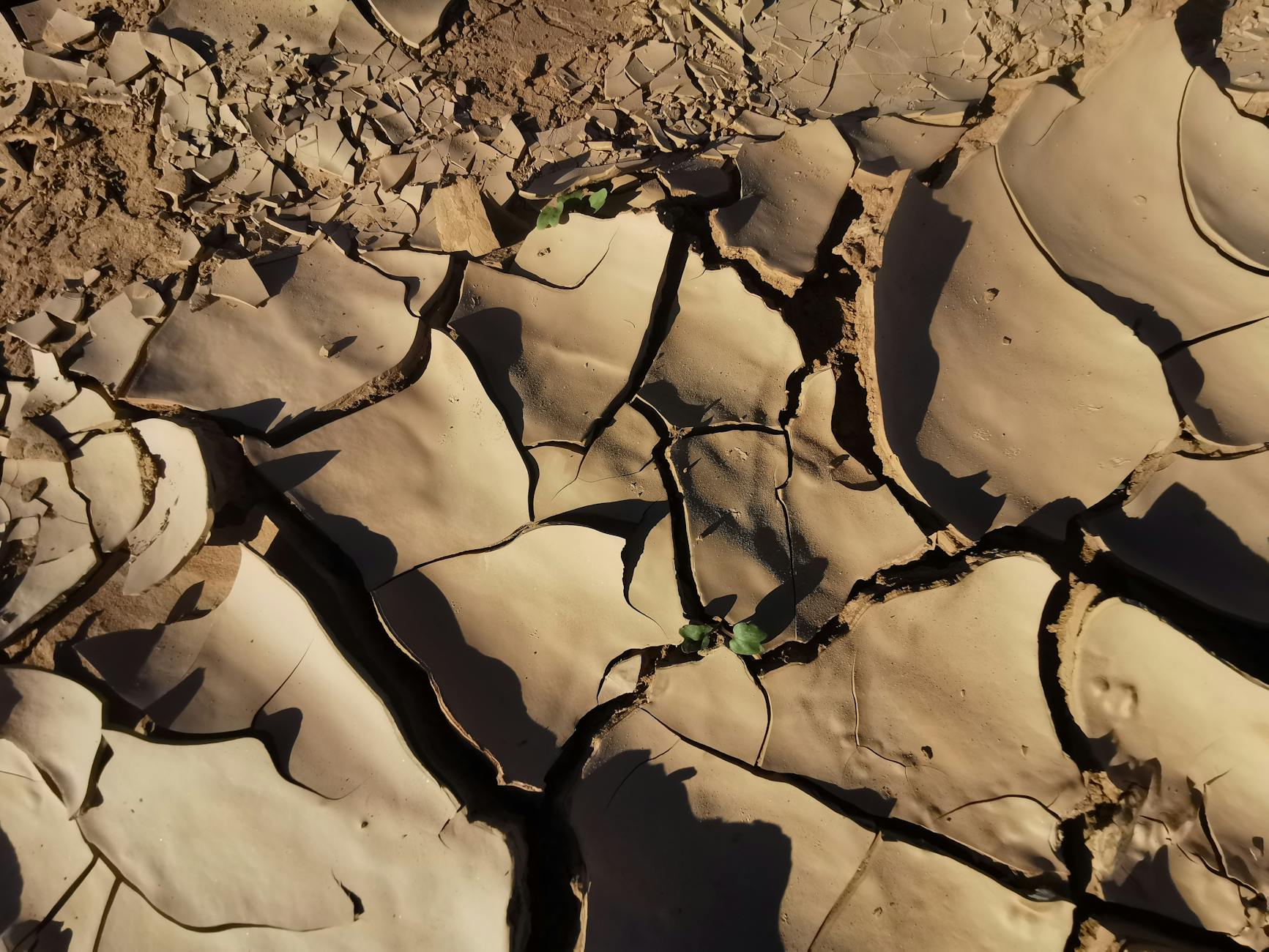 Detailansicht: Stefan Raab Comeback