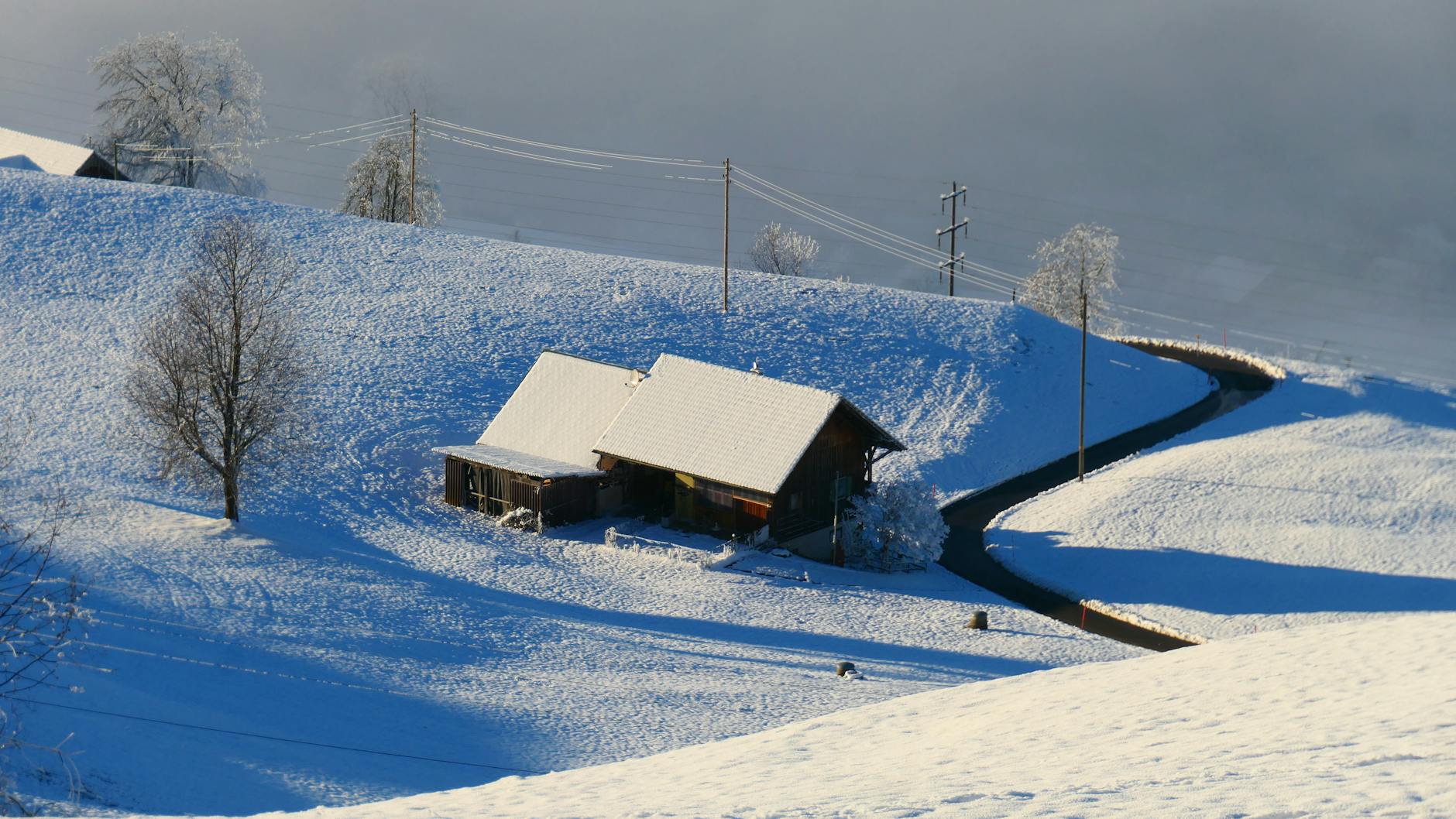Detailansicht: Sterbehilfe Schweiz