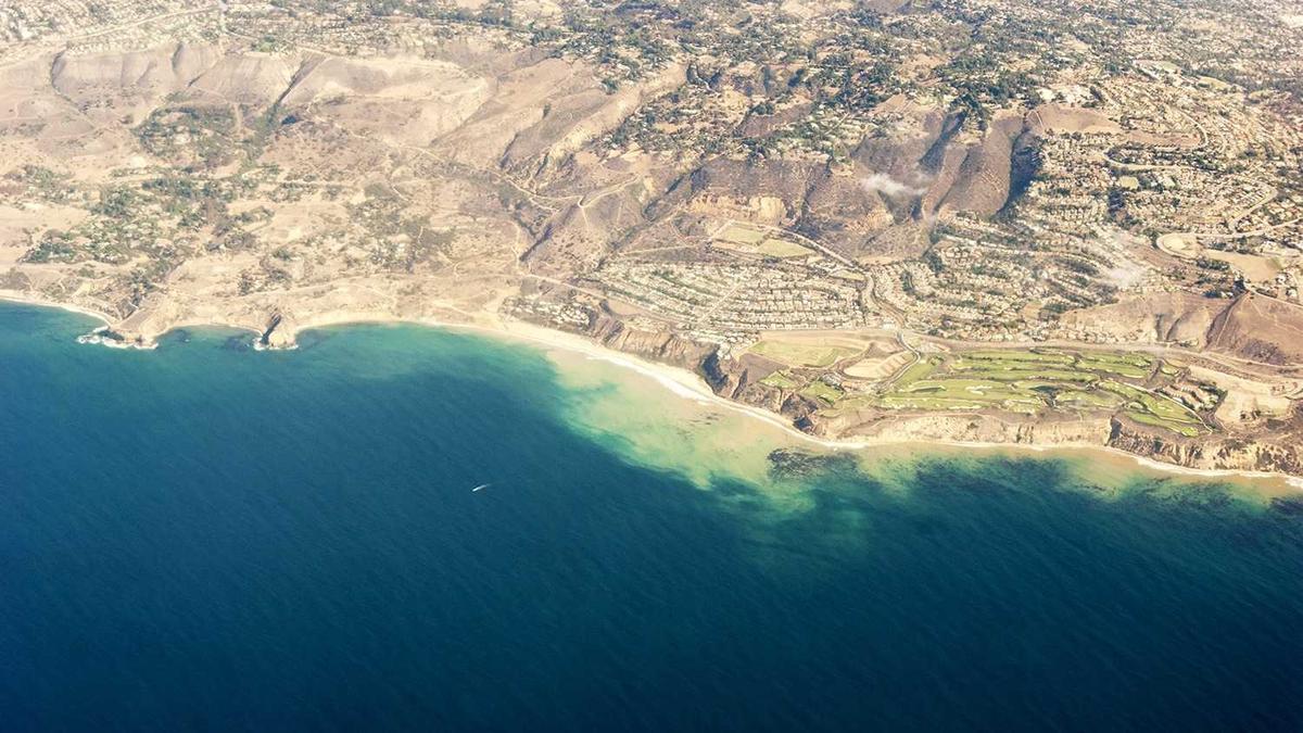 Illustration zu Steven Bradbury