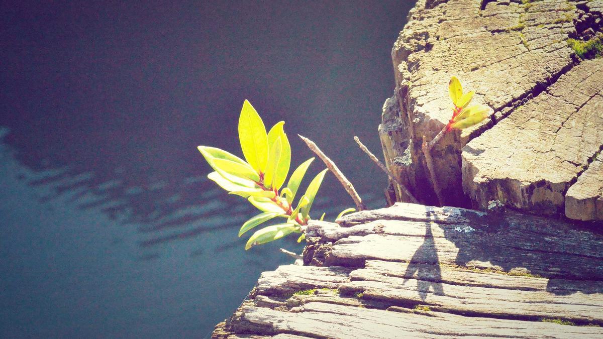 Symbolbild zum Thema Stirnlampe Kinder