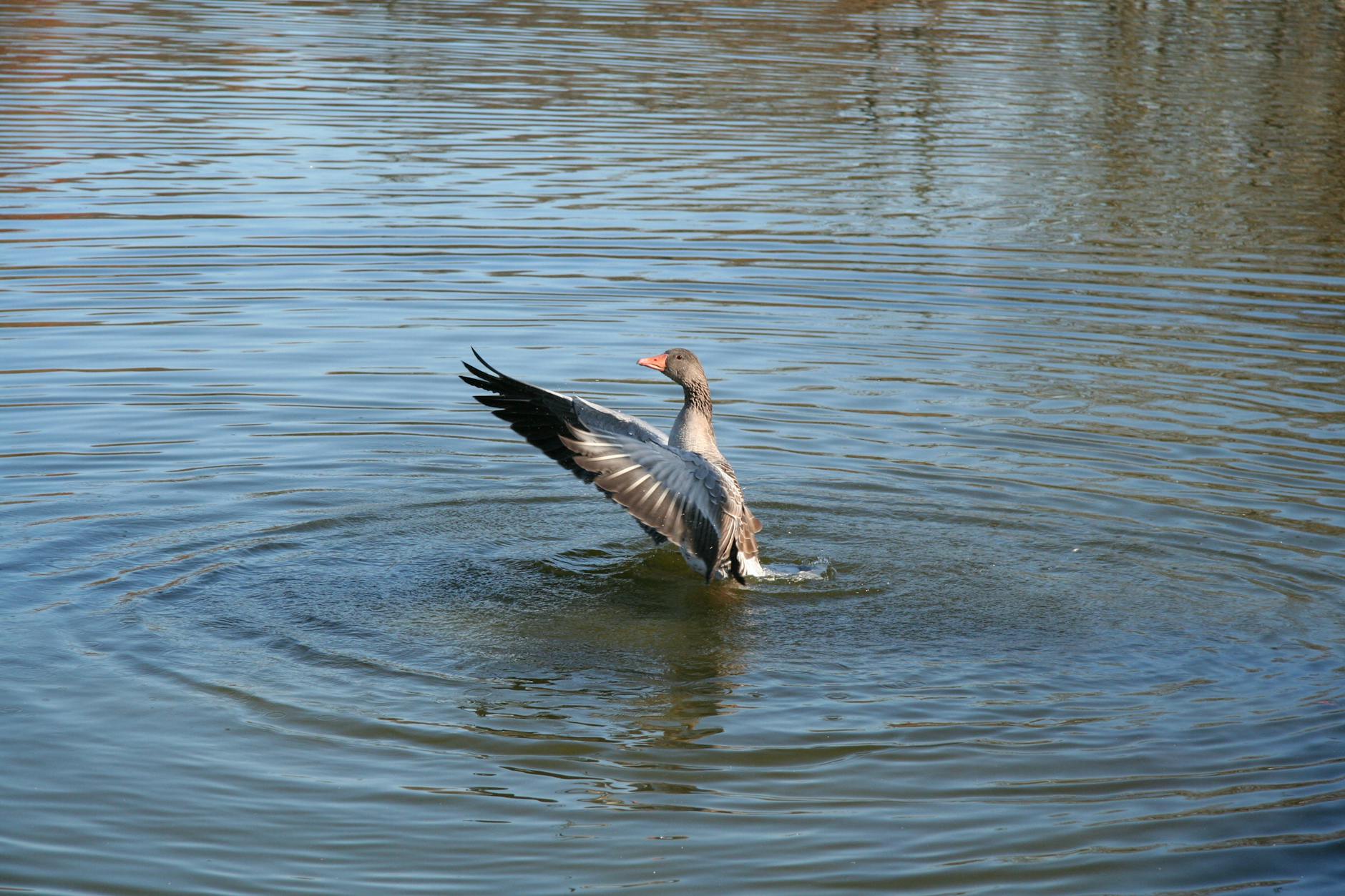 Illustration zu Streik München