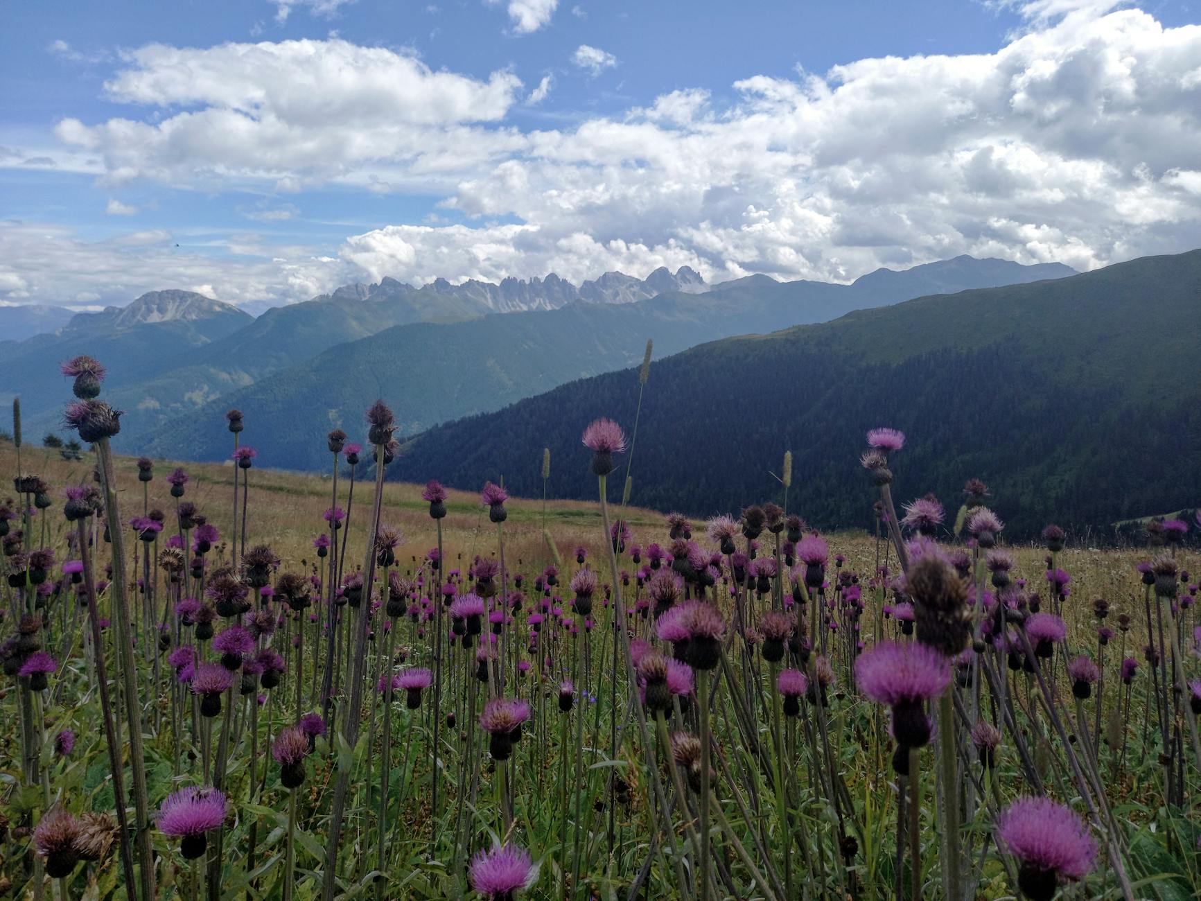 Illustration zu Stubaier Gletscher