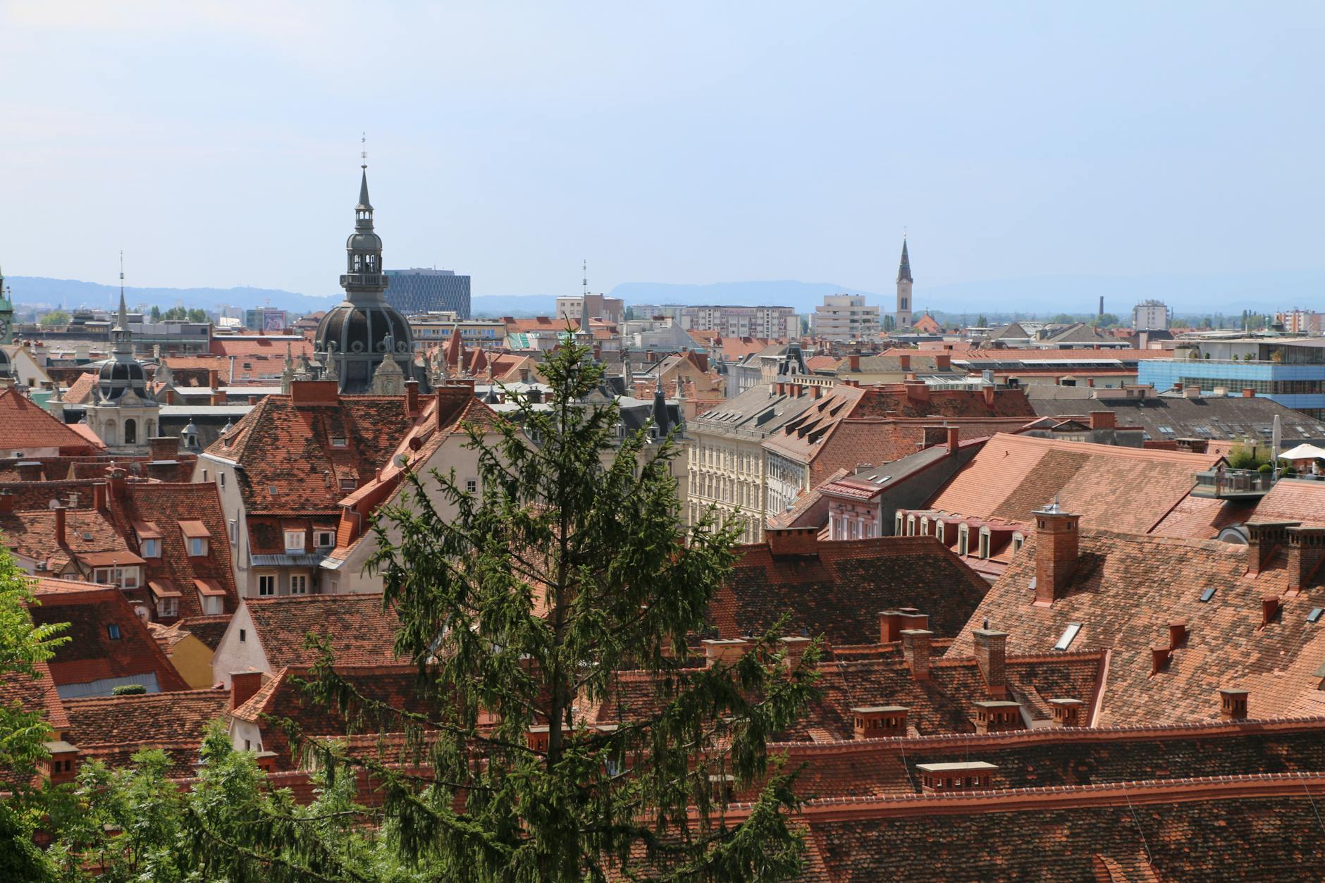 Detailansicht: Sturm Graz – Hartberg