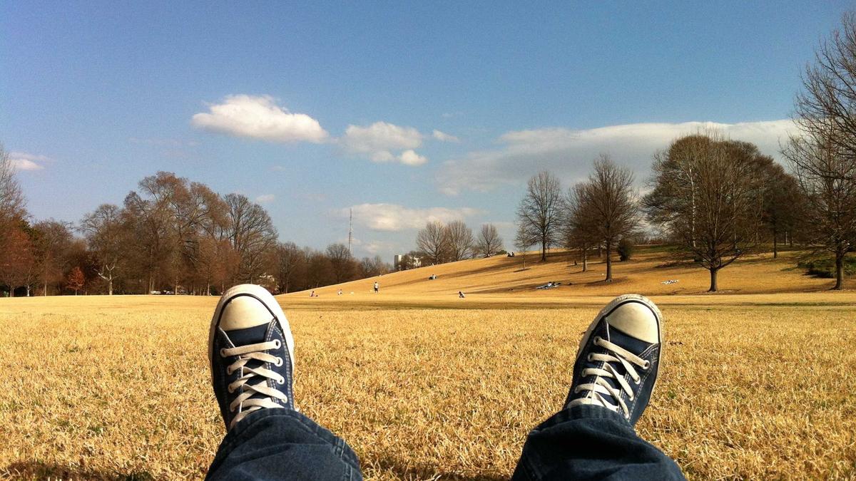 Symbolbild zum Thema Suchbild Schwer