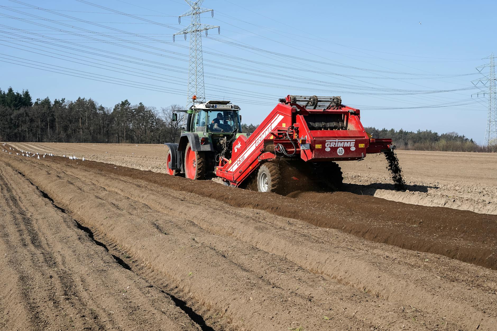 Süderoogsand Symbolbild zum Thema Süderoogsand