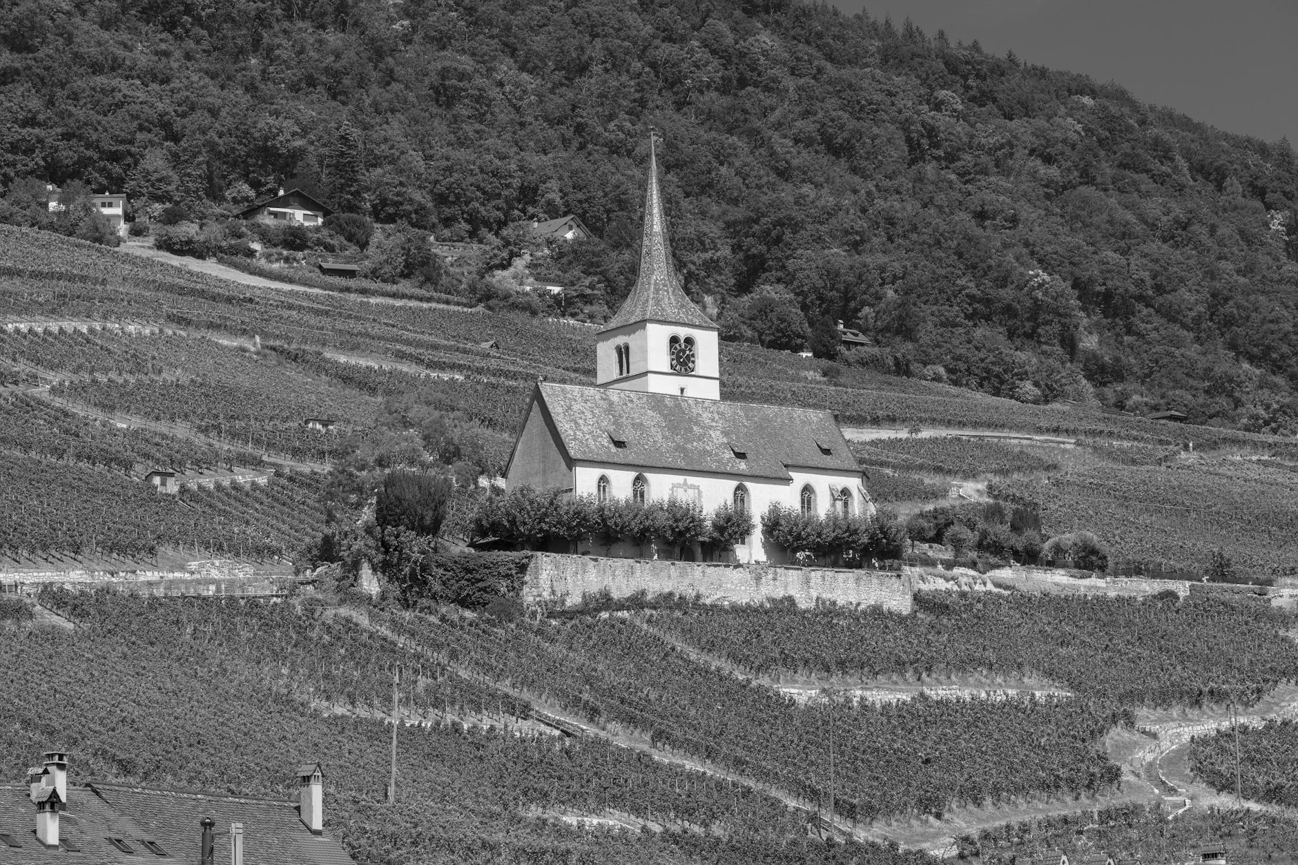 Illustration zu Suisse Norvege