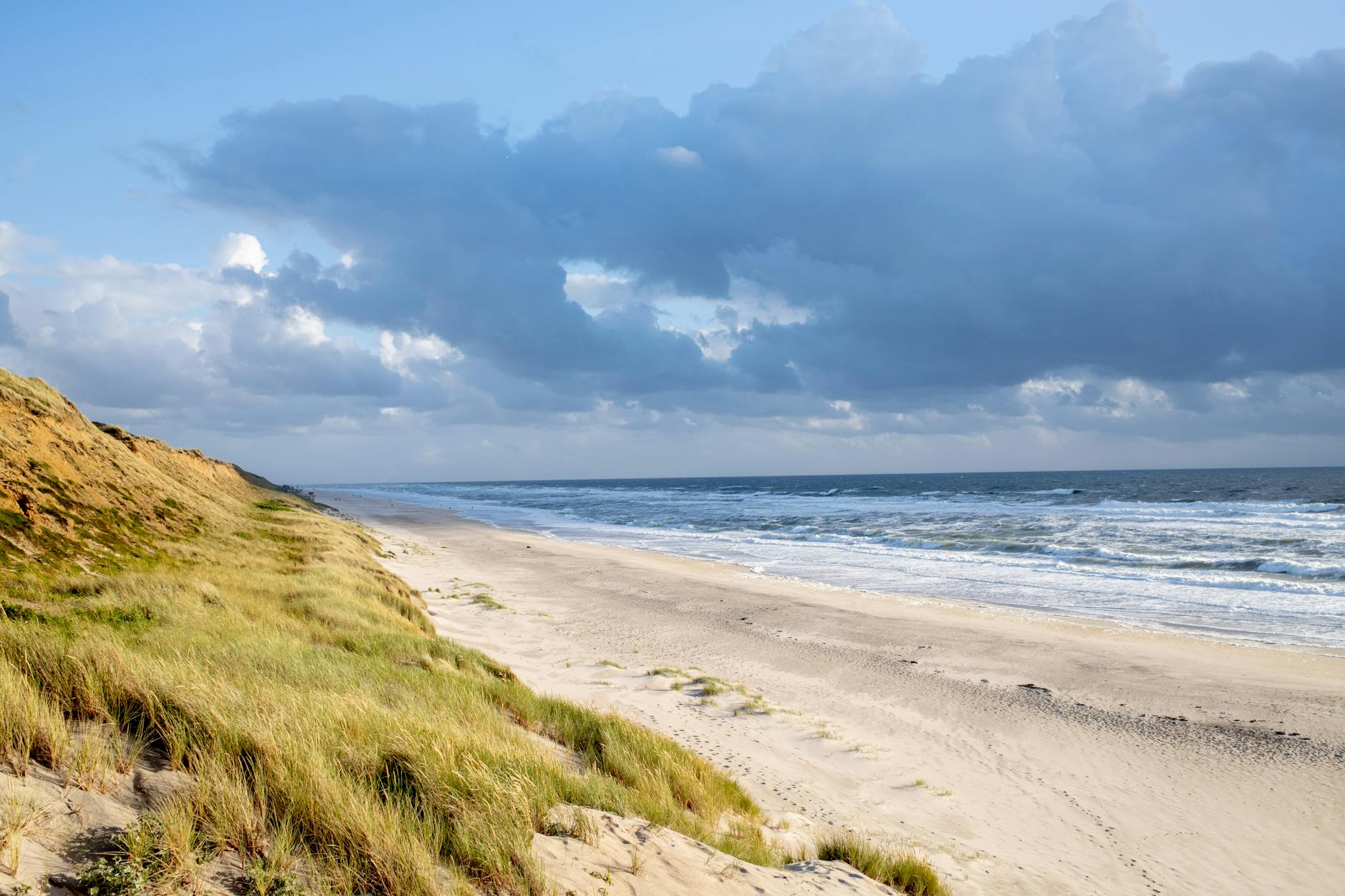 Detailansicht: SYLT