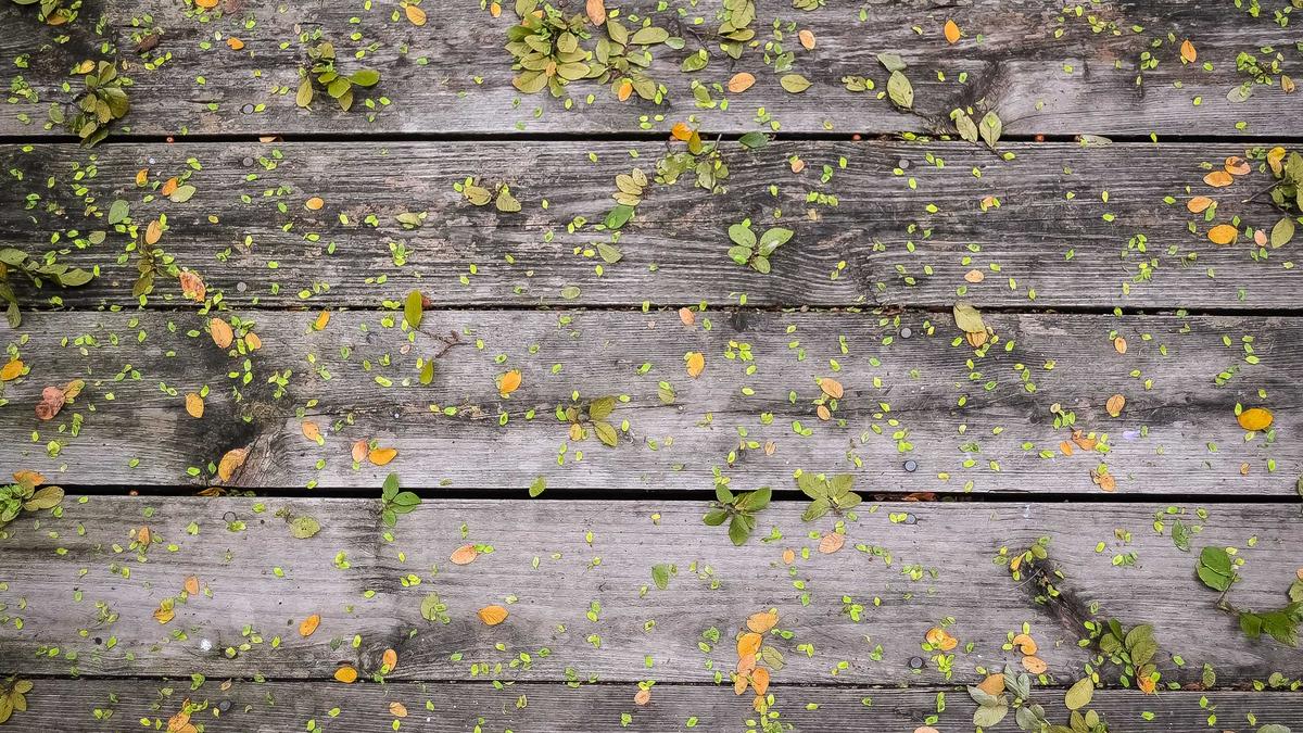 Tankgesetz Detailansicht: Tankgesetz