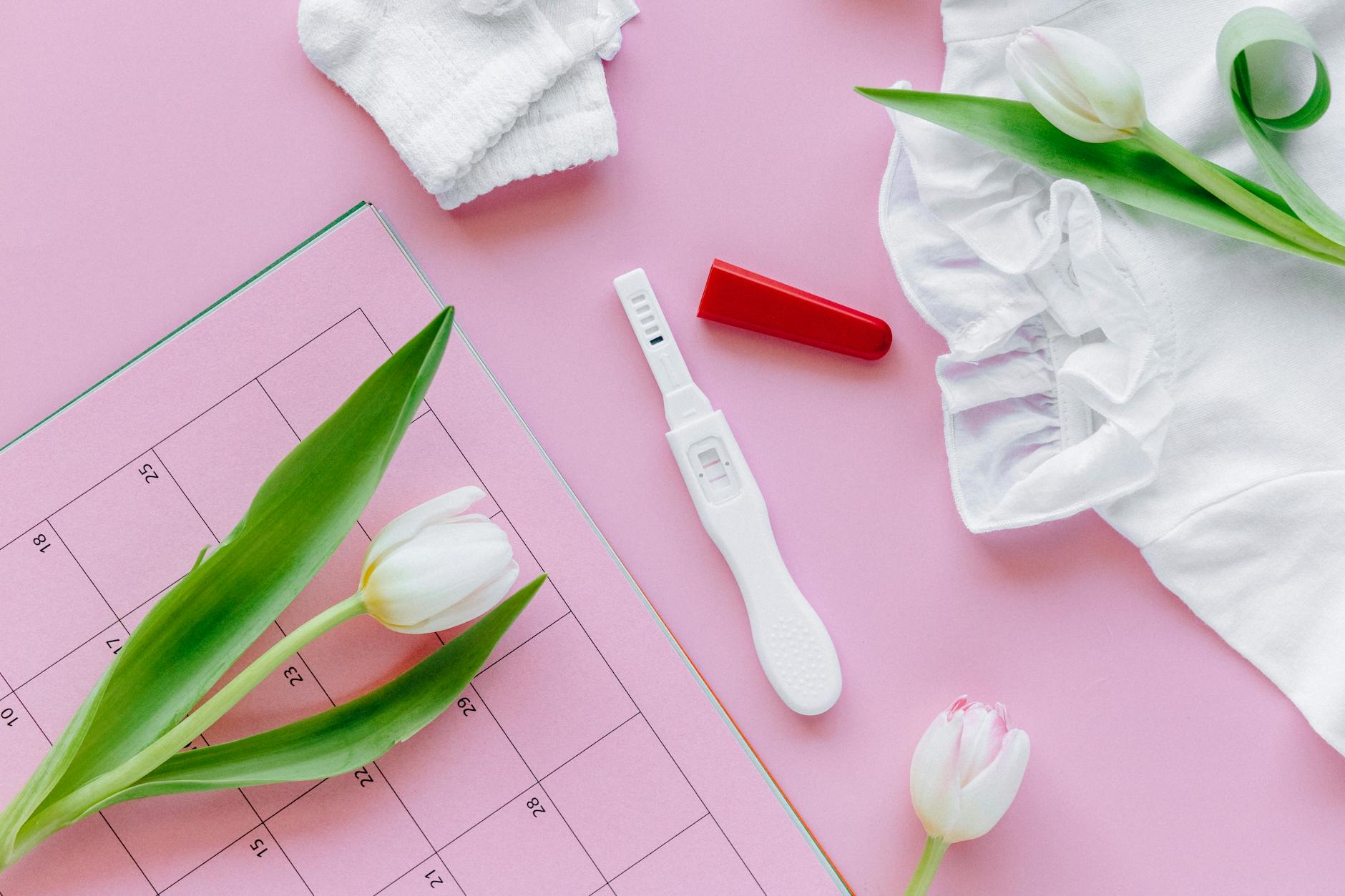 Detailansicht: Telestar Top 300 Test