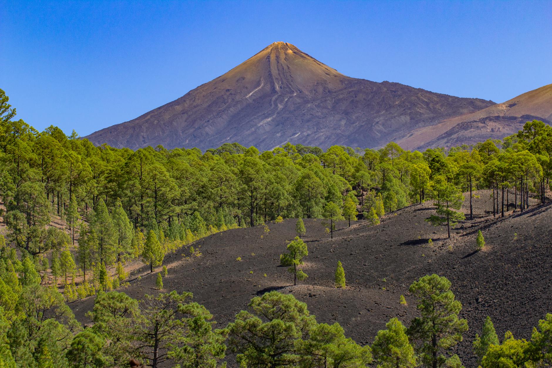 Illustration zu Teneriffa Teide Vulkanausbruch