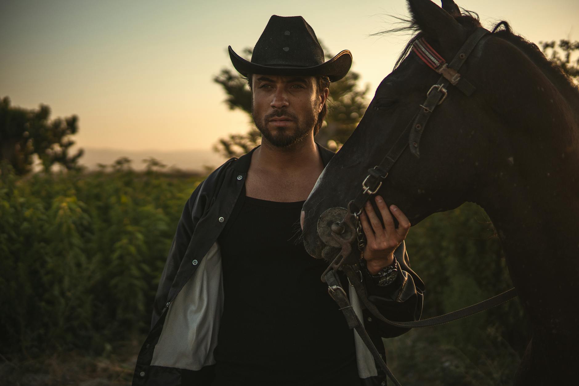 Illustration zu The Cowboy Film