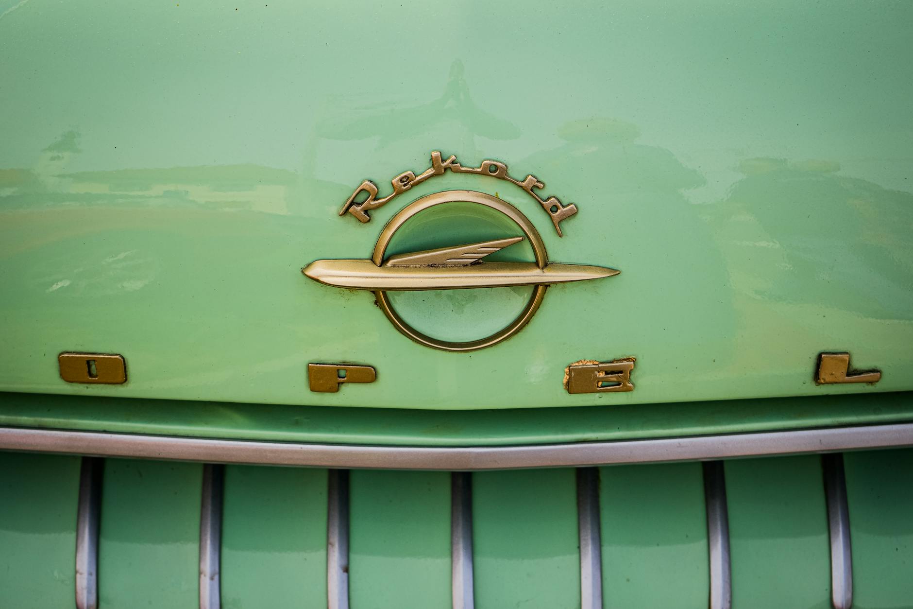 Detailansicht: The Rookie Rekord