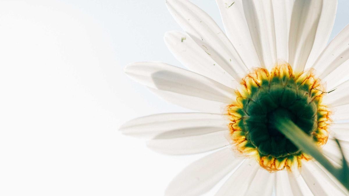 Detailansicht: This Town Serie Streamen