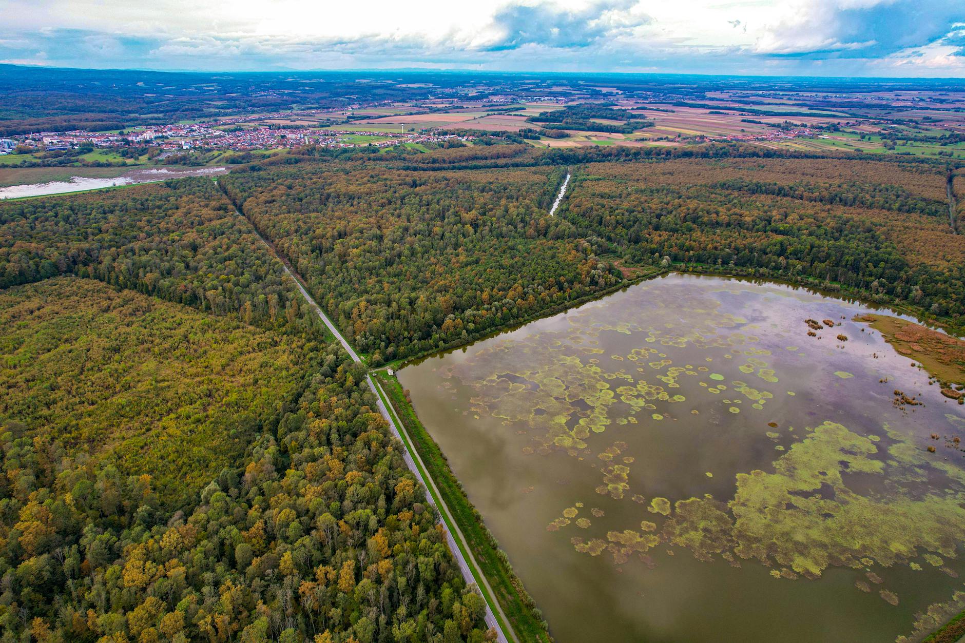 Tödlicher Unfall Ubstadt-weiher Detailansicht: Tödlicher Unfall Ubstadt-weiher