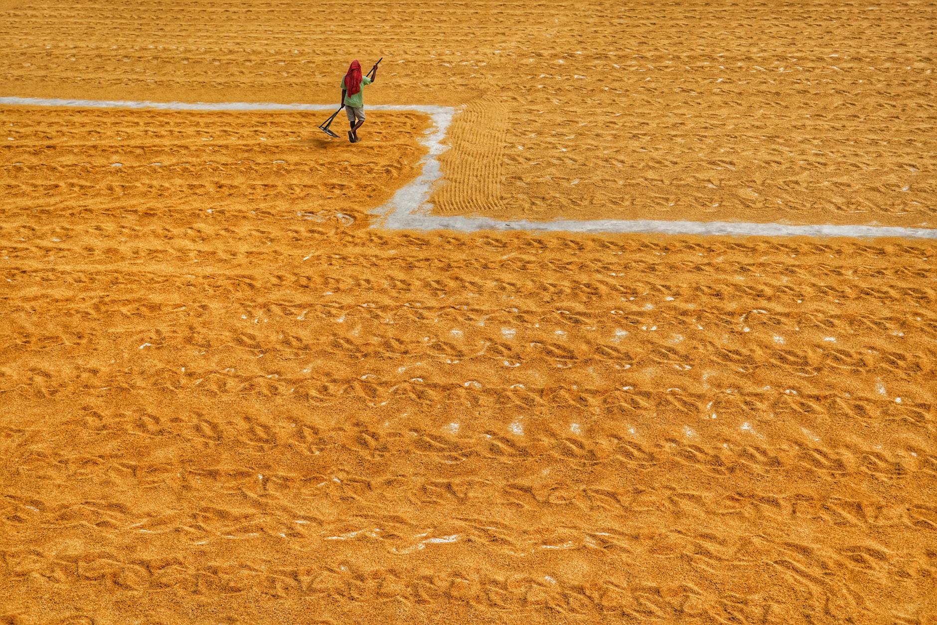 Illustration zu Toy Story 5