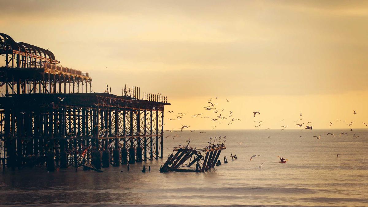 Tricia Tuttle Illustration zu Tricia Tuttle