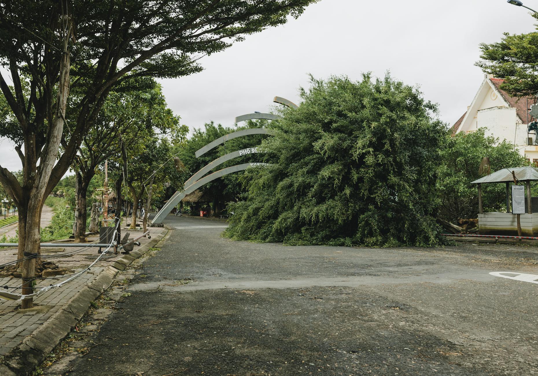 Symbolbild zum Thema Tropensturm Vaianu