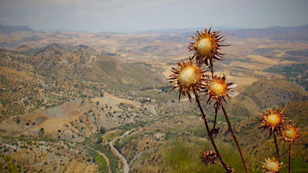 Türkei Rumänien Detailansicht: Türkei Rumänien