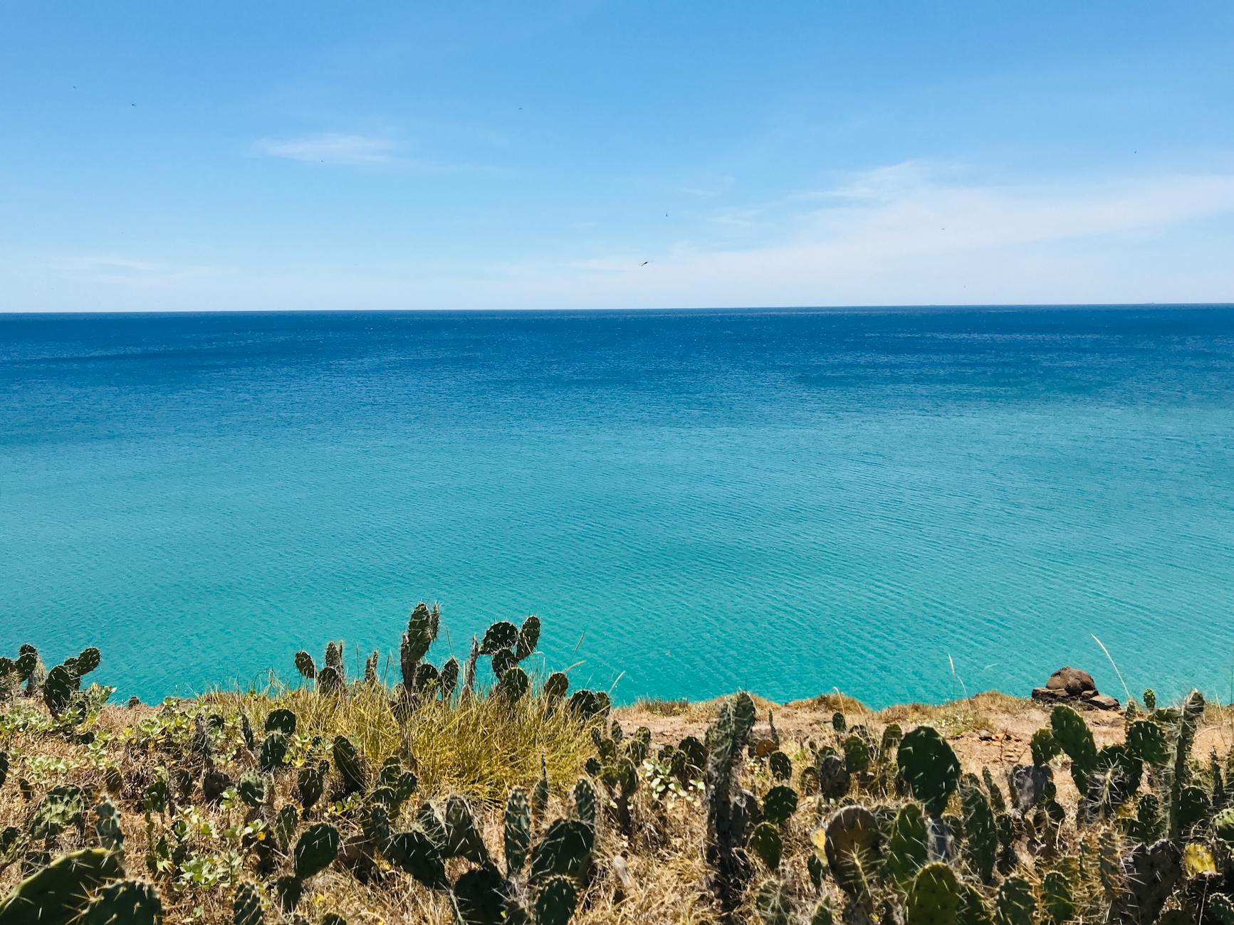 Detailansicht: Tui Pauschalreisen