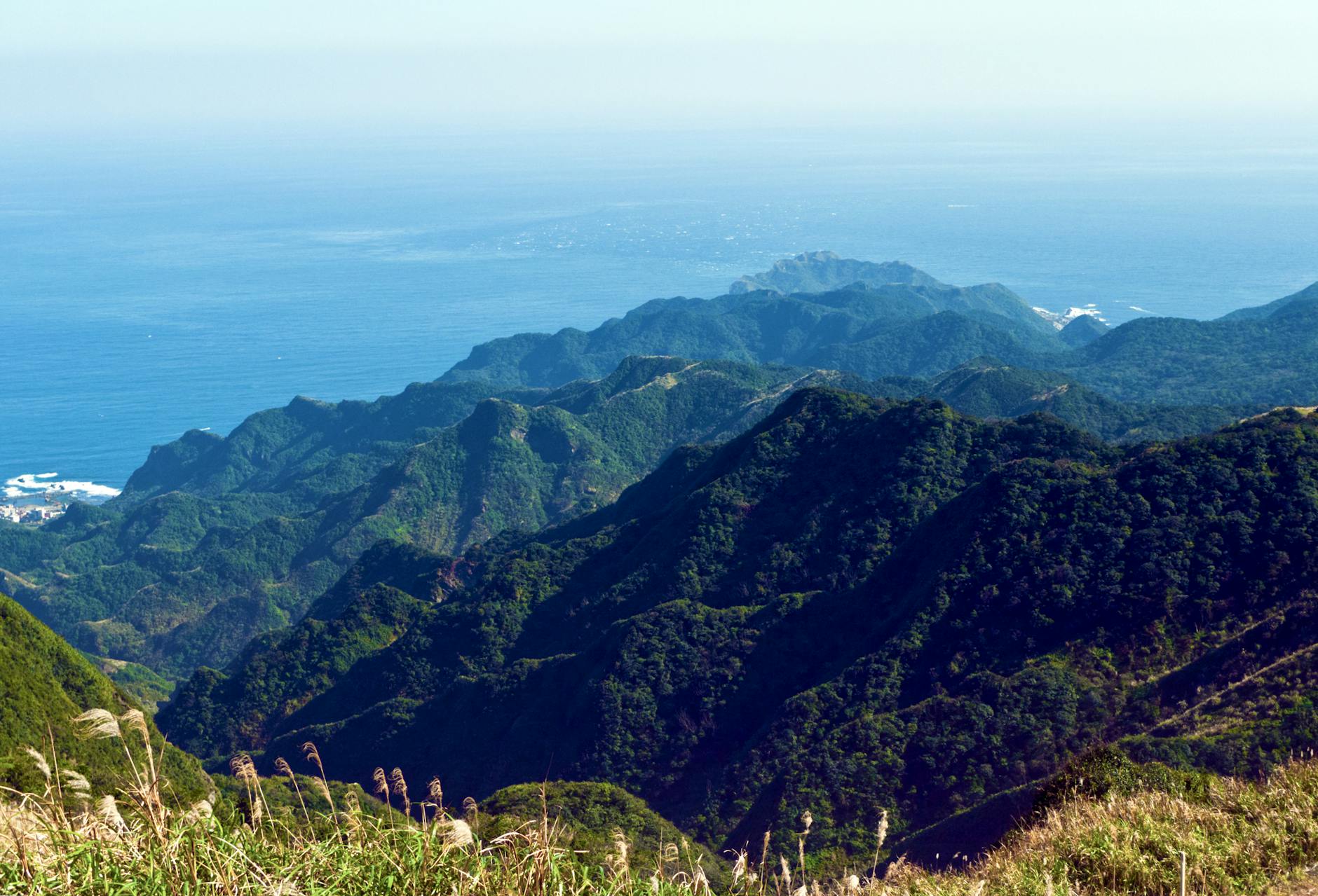 Tumbler Ridge Schießerei Illustration zu Tumbler Ridge Schießerei