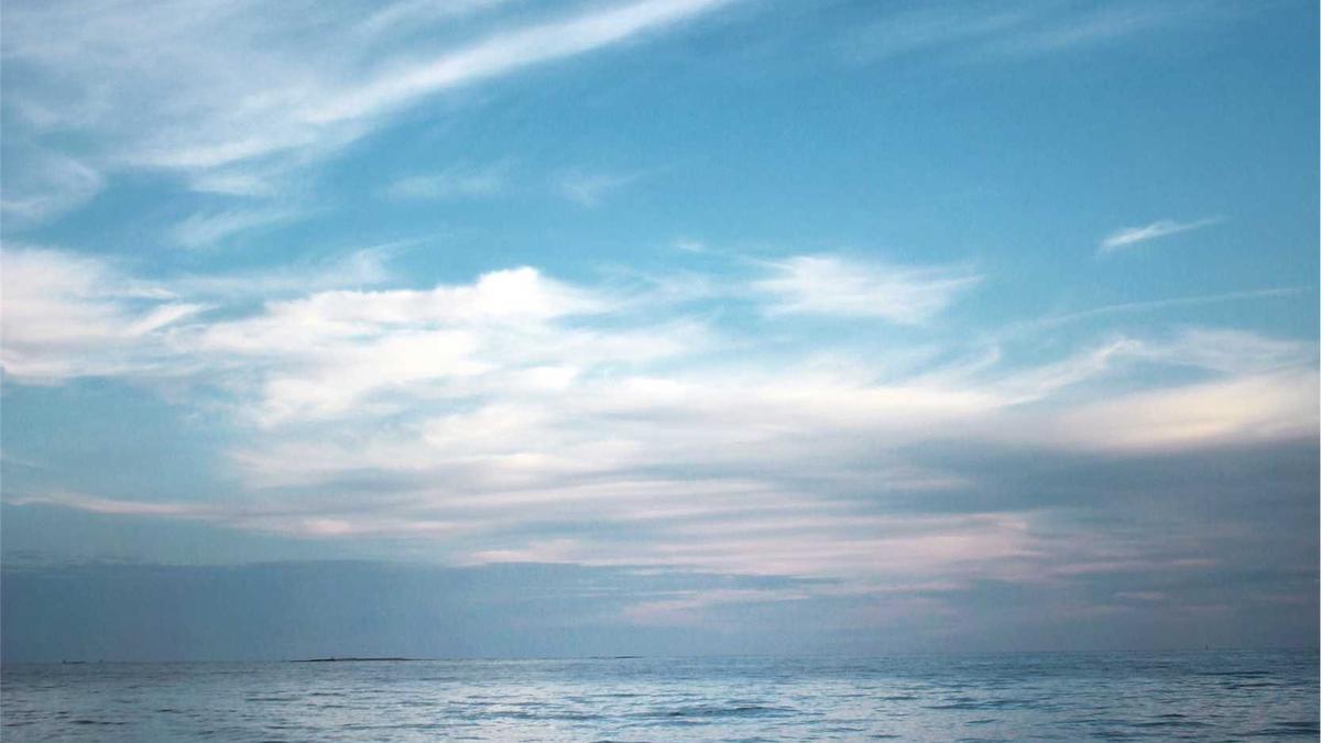 Detailansicht: Unfall Ulm