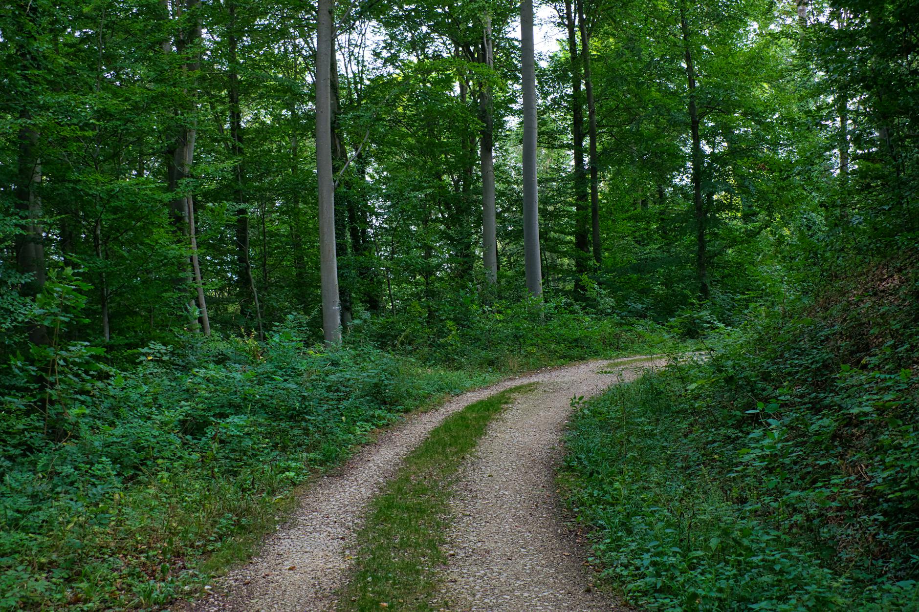 Illustration zu Unfallflucht Aalen