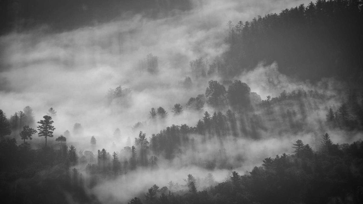 Unfallflucht Münstertal Detailansicht: Unfallflucht Münstertal