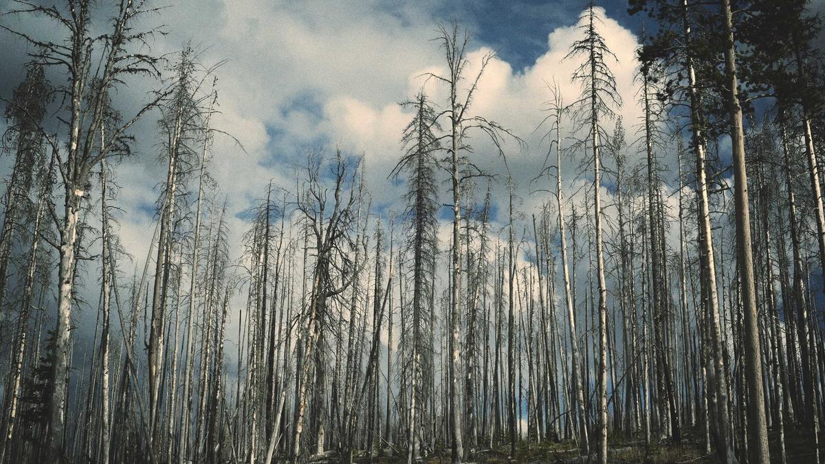 Unity AI Illustration zu Unity AI