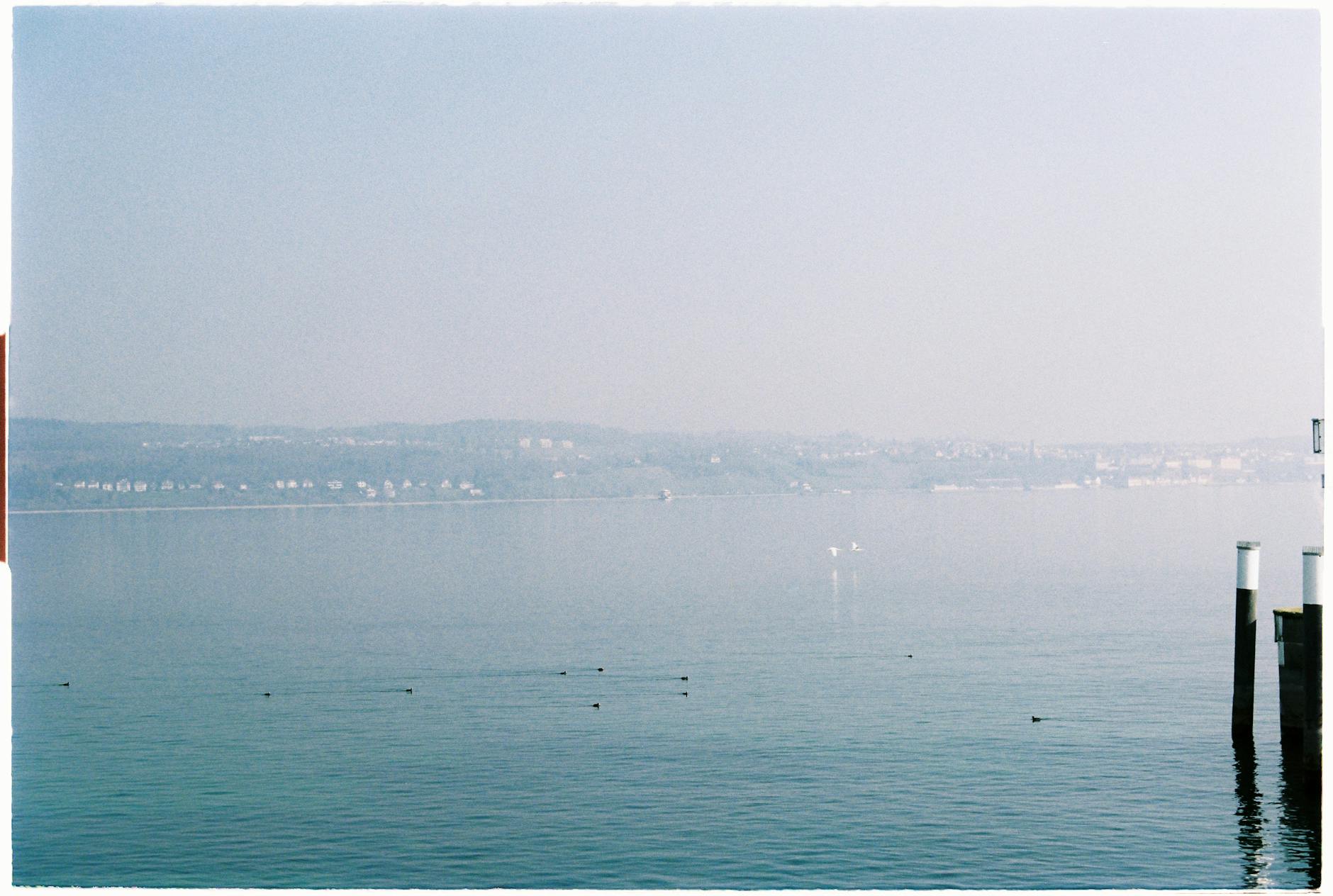 Detailansicht: Urlauber Golfregion