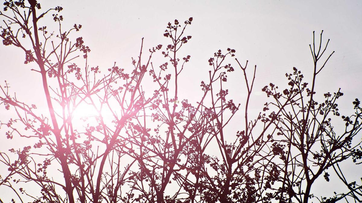 Symbolbild zum Thema Uschi Glas Collien Fernandes