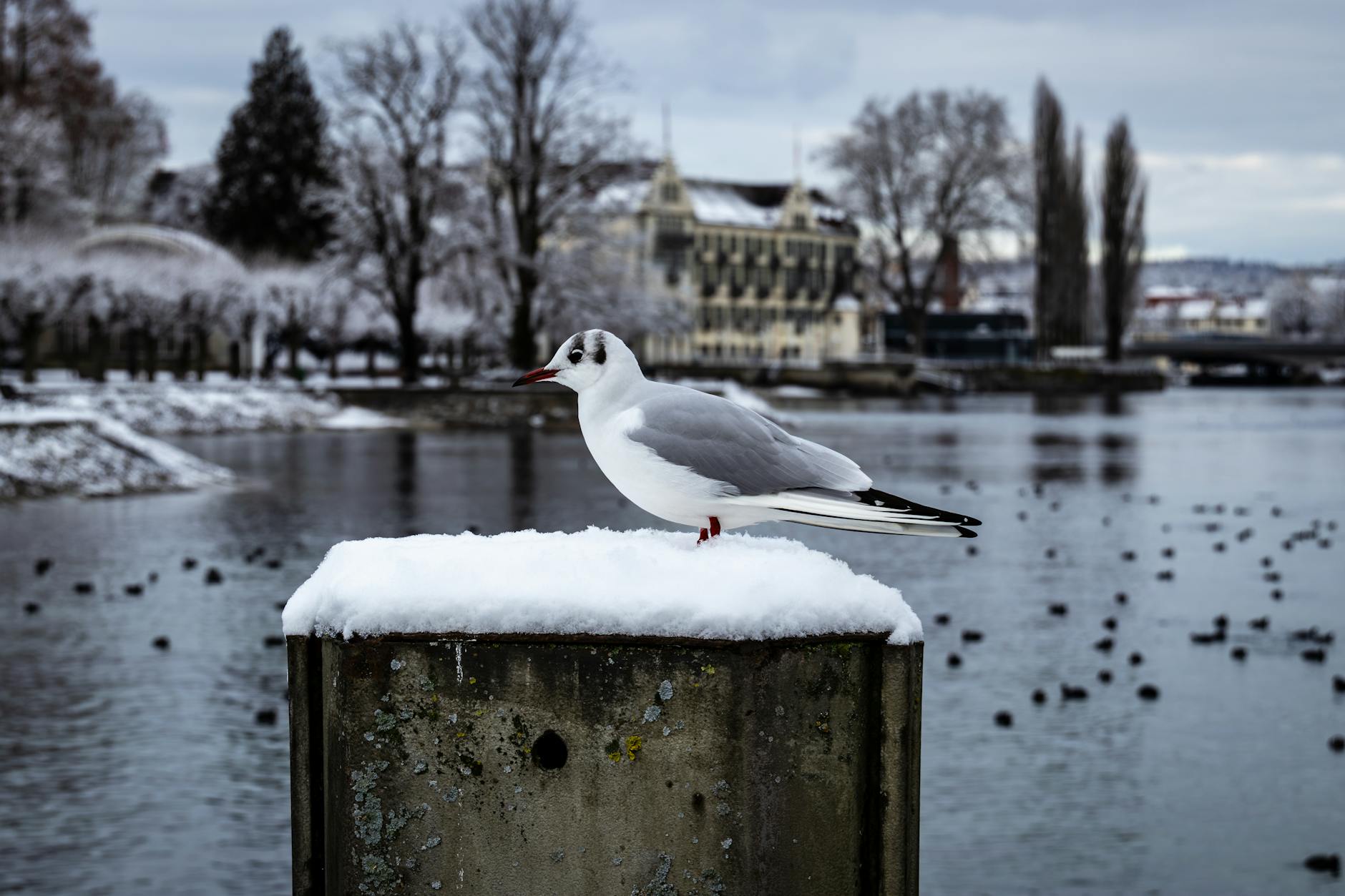 Vandalismus Konstanz Detailansicht: Vandalismus Konstanz