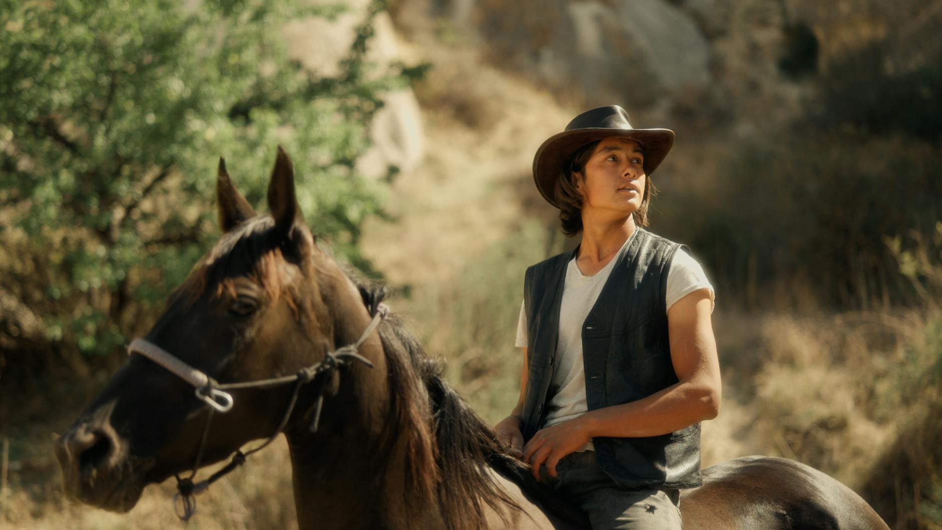 Illustration zu Veränderter Reisepass