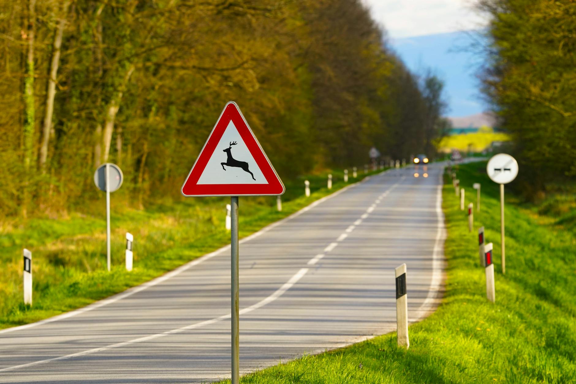 Detailansicht: Verkehrsregeln Quiz