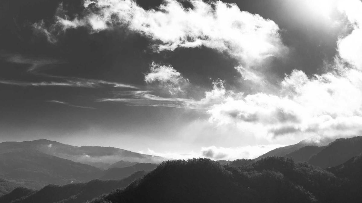 Illustration zu Verkehrsunfall Pforzheim