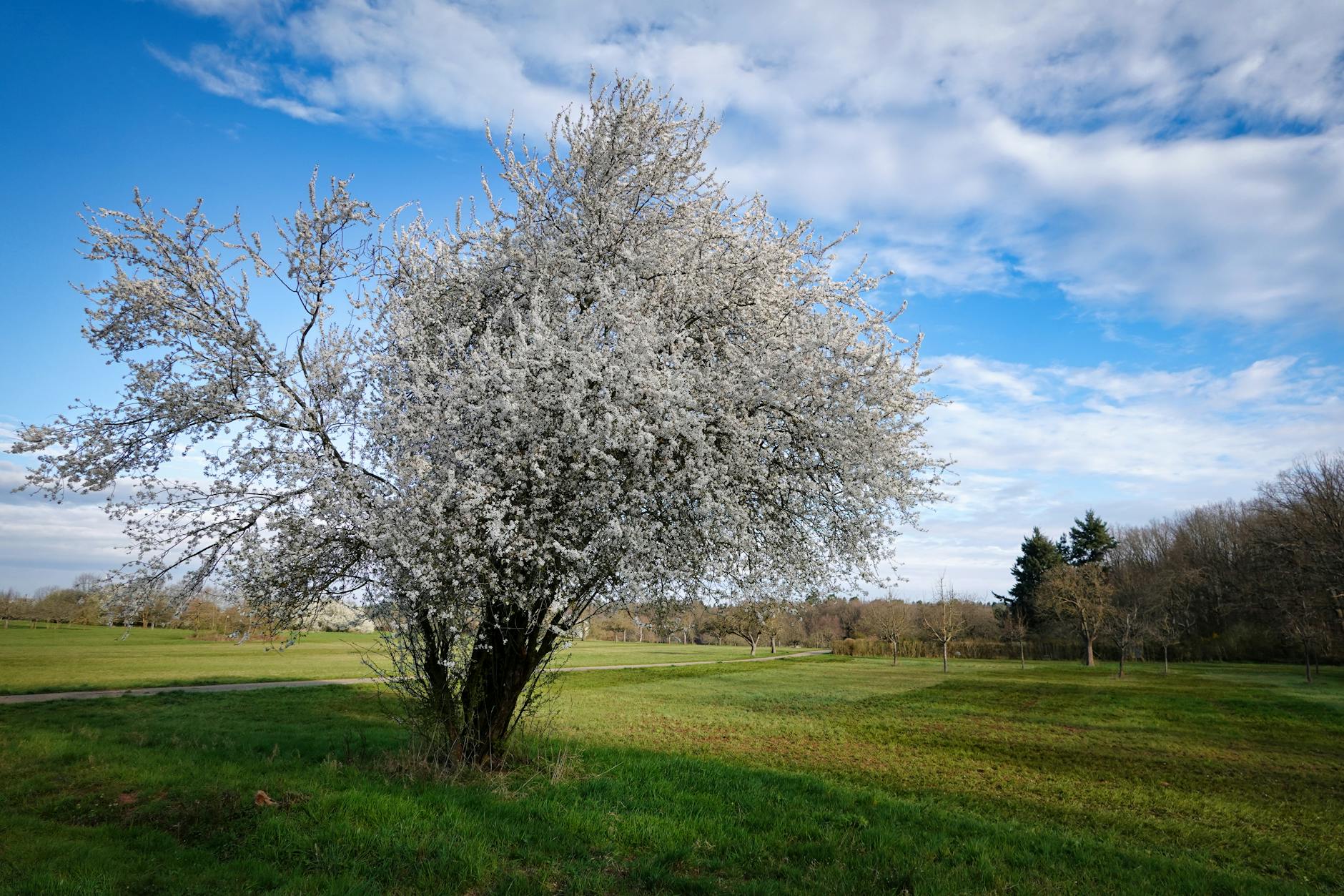 Illustration zu Verkehrsunfall Pforzheim
