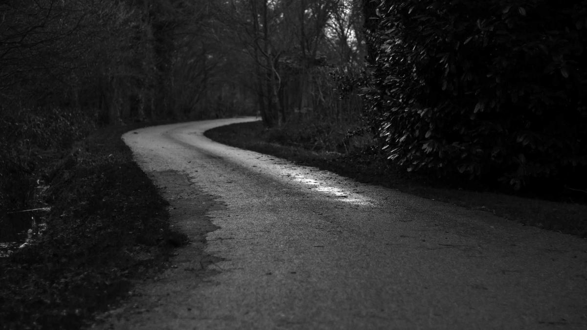 Detailansicht: Verkehrszeichen Haifischzähne