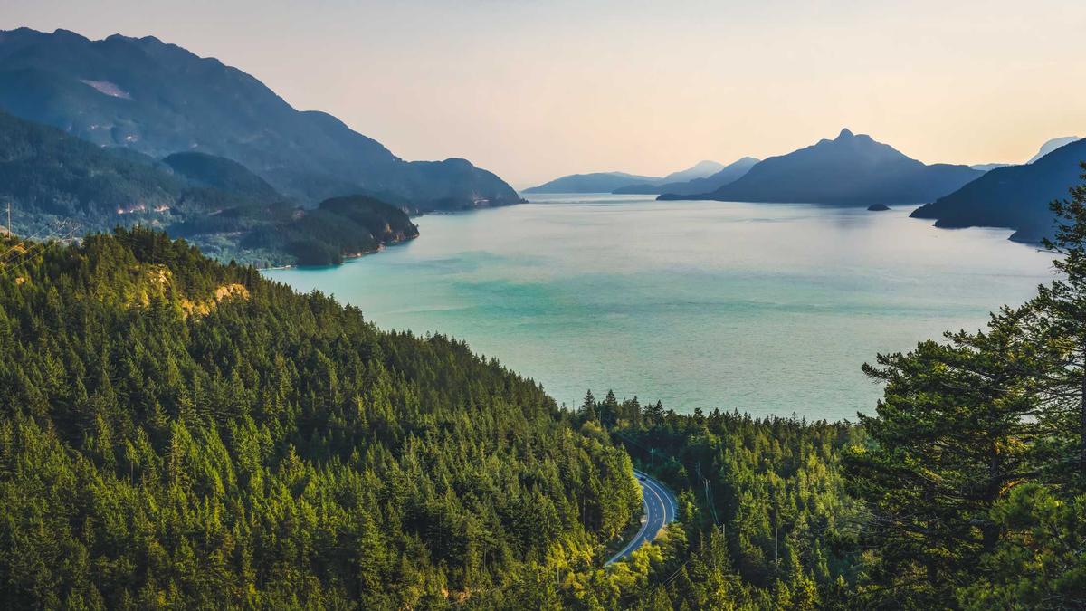 Illustration zu Vermisste Person