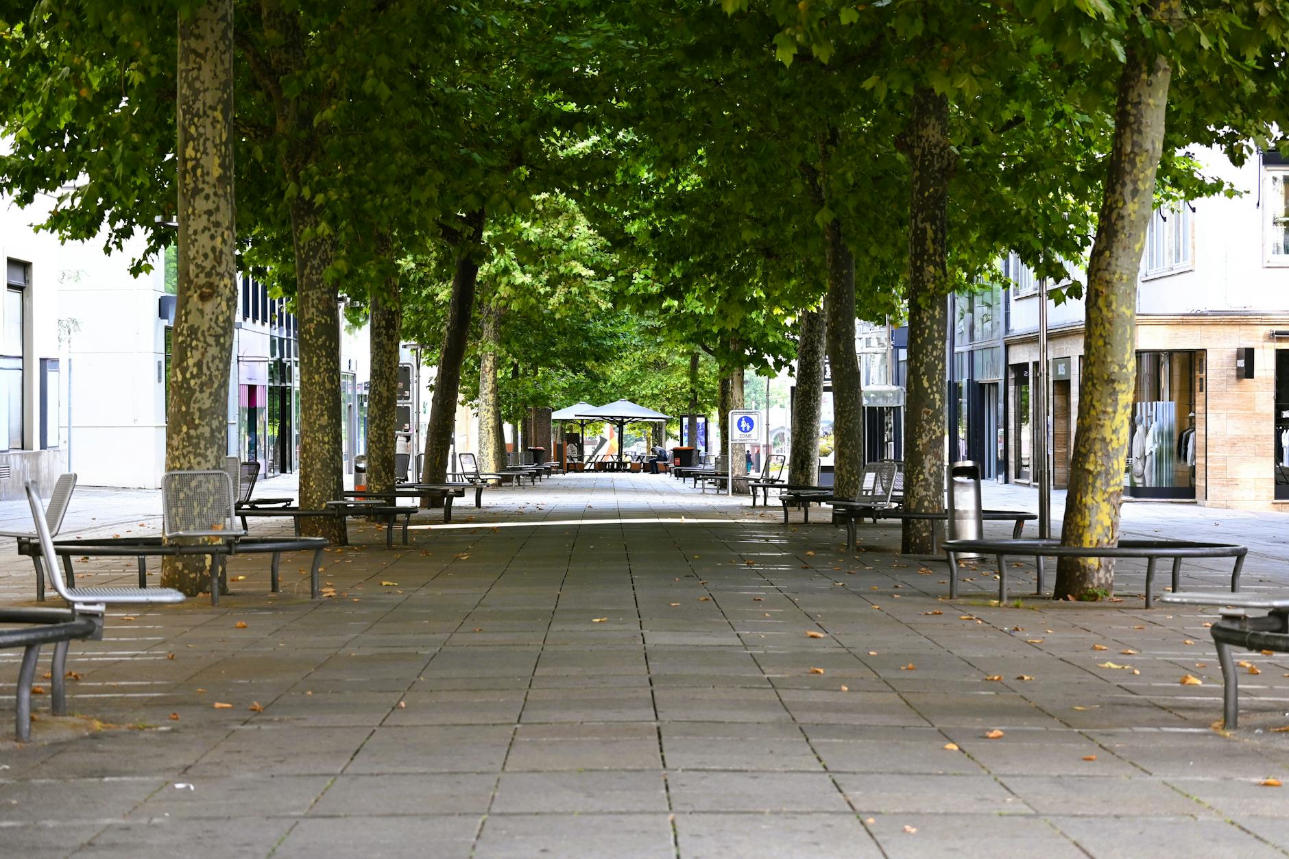 Vermisste Person Wiesloch Detailansicht: Vermisste Person Wiesloch