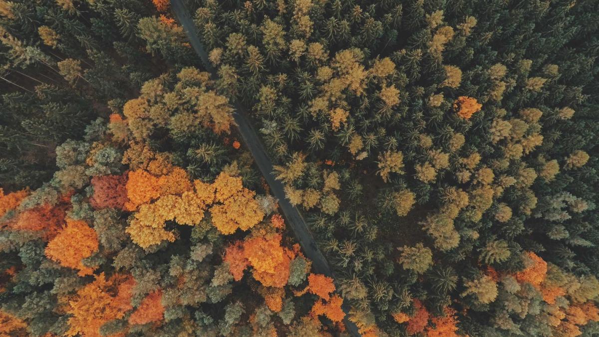 Vermisstensuche Backnang Illustration zu Vermisstensuche Backnang