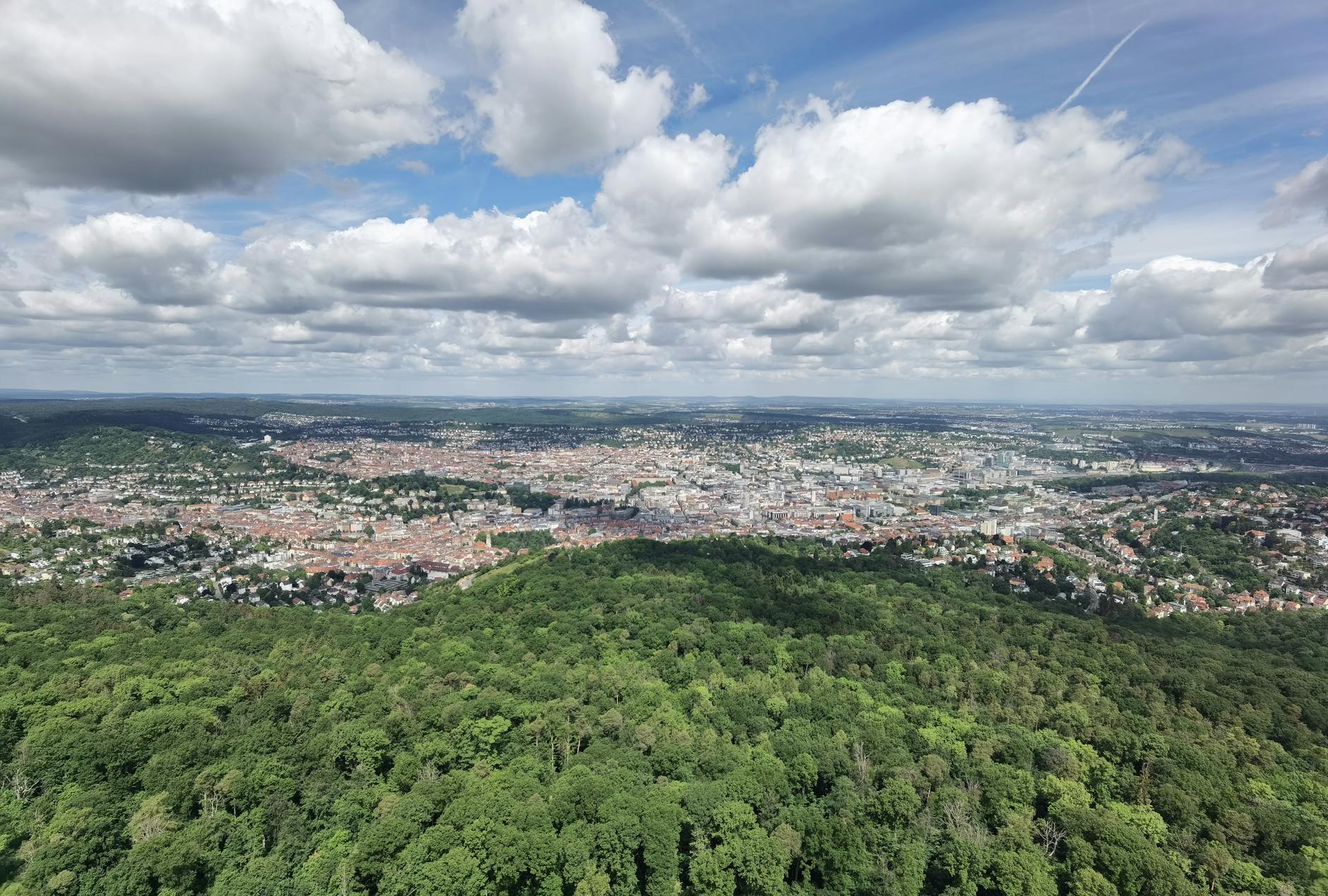 Symbolbild zum Thema VFB Stuttgart – HSV