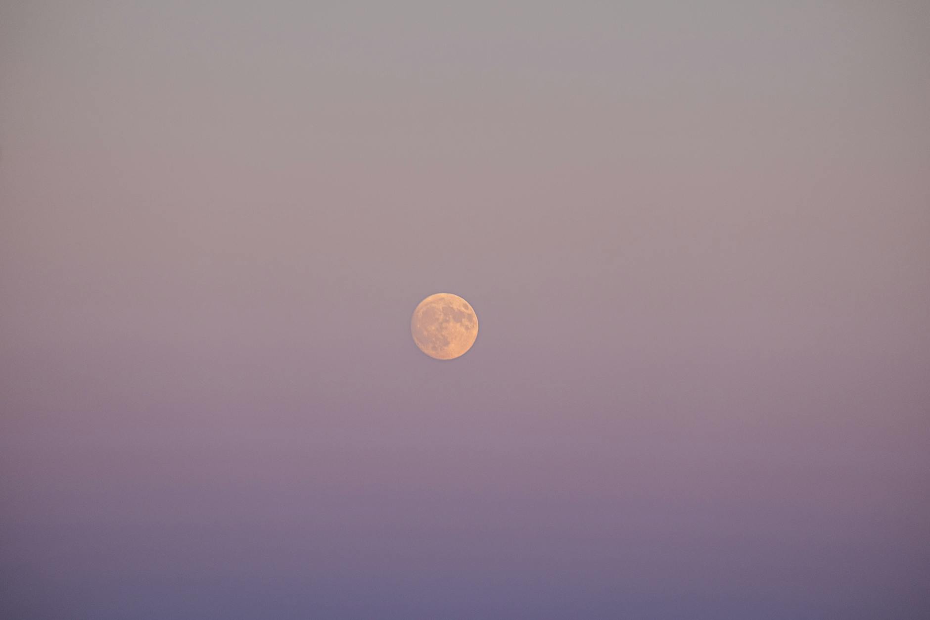 Illustration zu Vollmond April 2026 Pink Moon